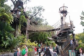 Image result for Disney Tarzan Treehouse