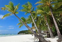 Image result for Bolabog Beach