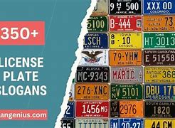 Image result for License Plate Sayings