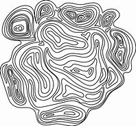 Image result for Topography Line Art