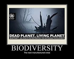 Image result for Quotes About Biodiversity