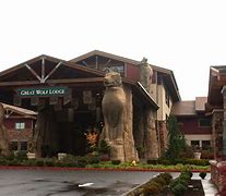 Image result for Great Wolf Lodge in Washington