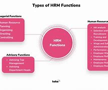 Image result for Different Kinds of Human Resources