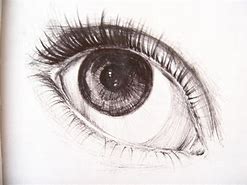 Image result for Biro Eye Drawing