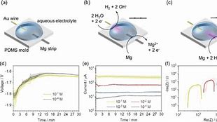 Image result for Mg and NI Galvanic Cell