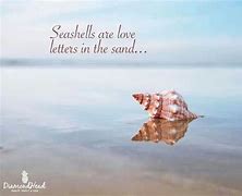 Image result for Seashell Love Sayings