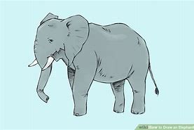 Image result for Elephant Spraying Water Drawing