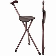 Image result for Three-Legged Cane with Seat