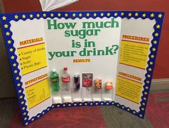 Image result for Second Grade Science Fair Projects