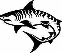 Image result for Tiger Shark PFP