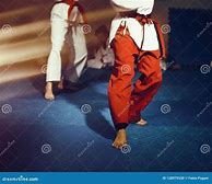 Image result for Taekwondo Feet