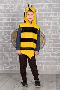 Image result for Boy in a Bee Costume