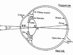 Image result for Snake Eye Diagram