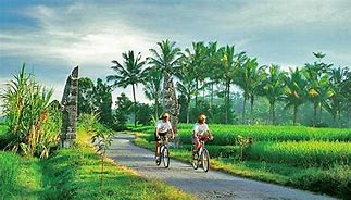 Image result for Cycling Bali