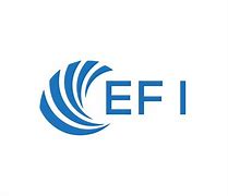 Image result for EFI Polymer Logo