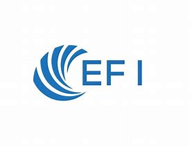 Image result for EFI Techology Logo