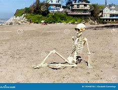 Image result for Giant Skeleton On the Beach Art