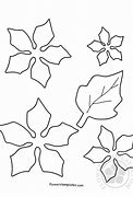 Image result for Poinsettia Leaf Template