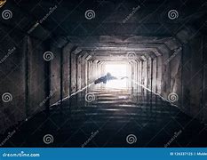 Image result for Sewer Lights