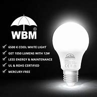 Image result for LED Light Bulbs Product