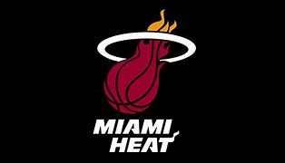 Image result for Miami Heat Logo History