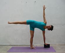 Image result for Ardha Chandrasana