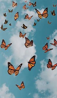 Image result for Aesthetic 90s Butterfly Wallpaper