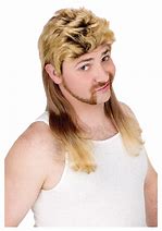 Image result for Mullet Wig