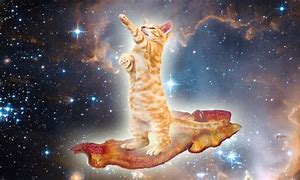 Image result for Outer Space Cat Meme