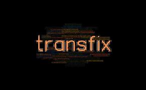 Image result for Transfixed Logo.png