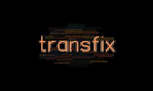 Image result for Transfixed Logo.png