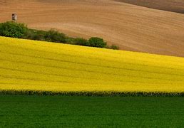 Image result for Cuba Arable Land