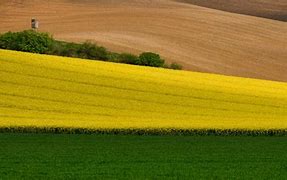 Image result for Sudan Arable Land