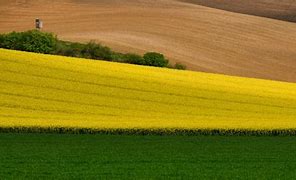 Image result for Arable Land in Israel