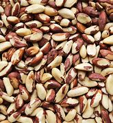 Image result for Wild Nuts