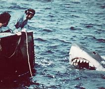 Image result for Real Shark in Jaws Filming