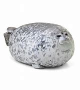 Image result for Big Seal