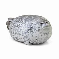 Image result for Fat Seal HD Round