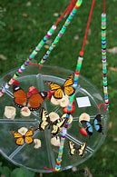 Image result for Butterfly Feeder Bowl