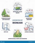 Image result for Picture of Biomass Energy Plant to Grid