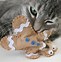 Image result for Easy DIY Cat Toys