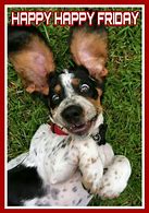 Image result for Happy Friday Cute Animals