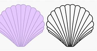 Image result for Purple Clam Shell Clip Art