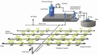 Image result for Large-Scale Drip Irrigation Systems