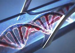 Image result for DNA Bio-Synergy