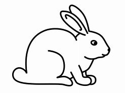 Image result for Black Bunny Rabbits