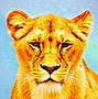 Image result for Mother Lioness