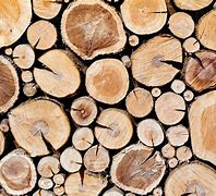 Image result for Wood Wall Texture Log