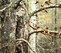 Image result for Realtree Camo Deer