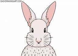 Image result for Rabbit Laying Drawing